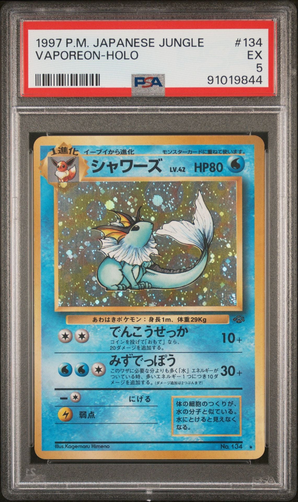 JULY Mystery Slab Collection Hanger Box Series 1 - Eeveelutions HIT chance 4 PACKS + SLAB