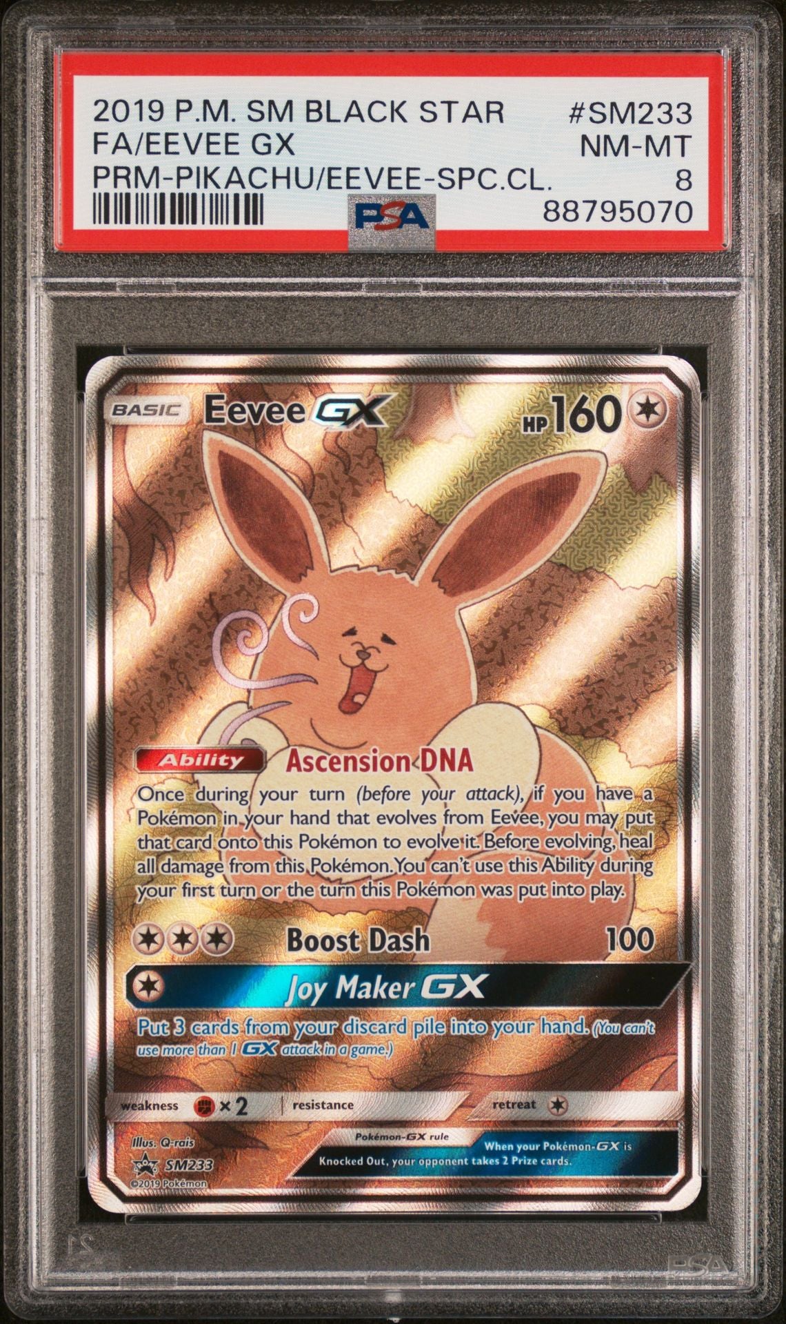JULY Mystery Slab Collection Hanger Box Series 1 - Eeveelutions HIT chance 4 PACKS + SLAB