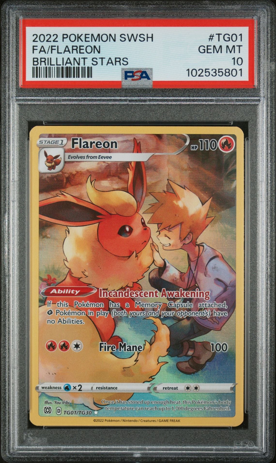 JULY Mystery Slab Collection Hanger Box Series 1 - Eeveelutions HIT chance 4 PACKS + SLAB