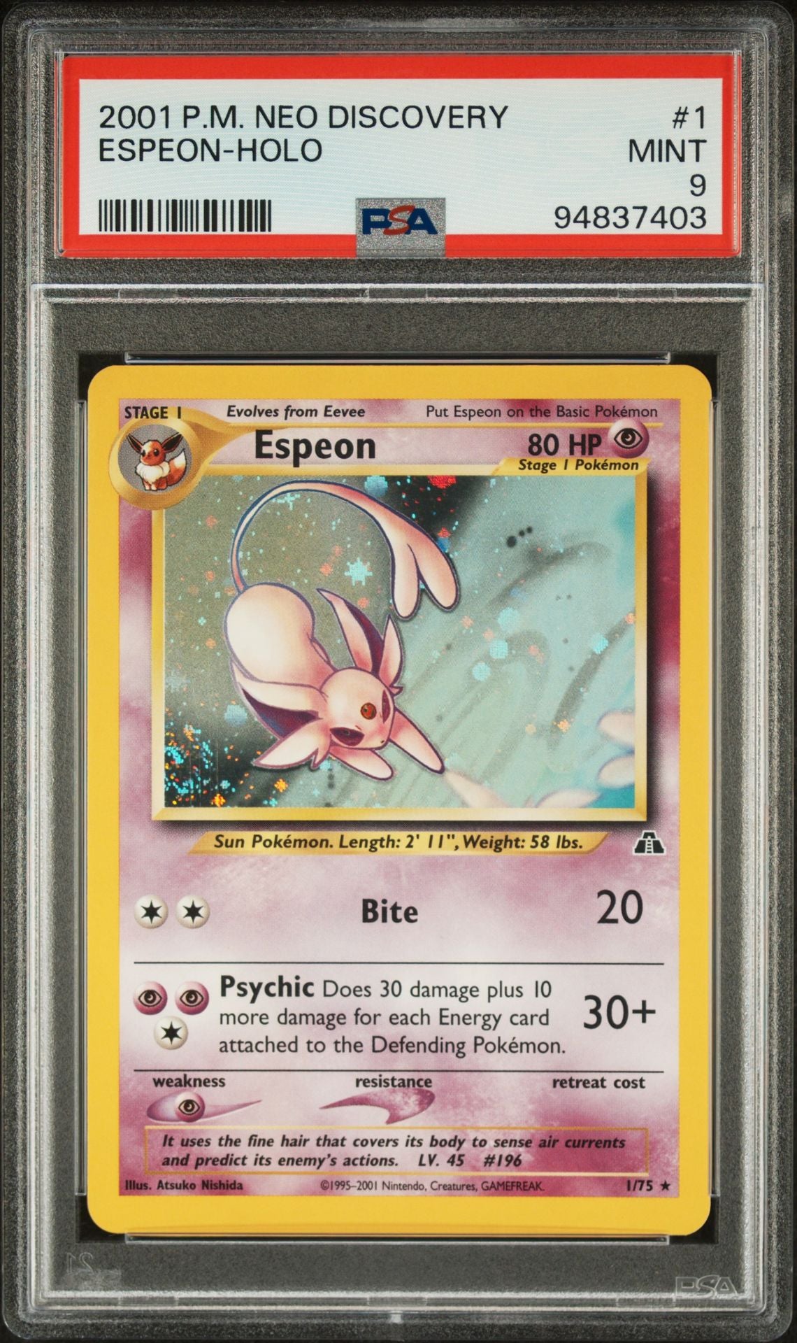 JULY Mystery Slab Collection Hanger Box Series 1 - Eeveelutions HIT chance 4 PACKS + SLAB